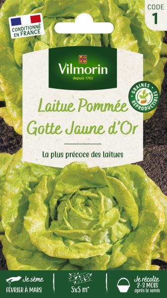 Potagères - Laitue Pommée Gotte Jaune d'Or - PACKAGING_RECTO